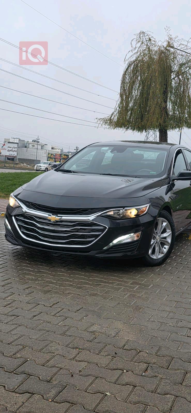 شيفروليه ماليبو